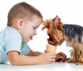 Conviver com cães reduz o risco de asma em crianças.