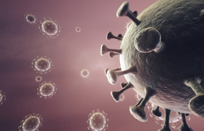 Nova variante do coronavírus pode causar reinfecção.